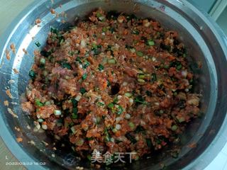 瘦肉胡萝卜马蹄饺子的做法步骤：4