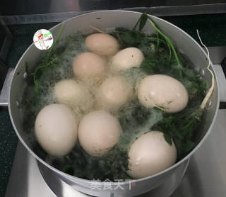 荠菜花煮鸡蛋的做法步骤：3