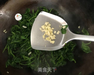 清炒豌豆苗的做法步骤：9