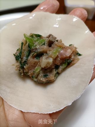 青菜鹿茸菇猪肉饺的做法步骤：9