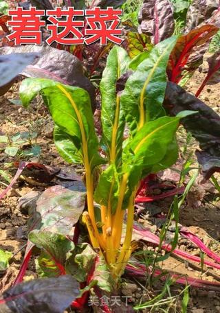 黄色莙荙菜线椒炒鸡蛋的做法步骤：1