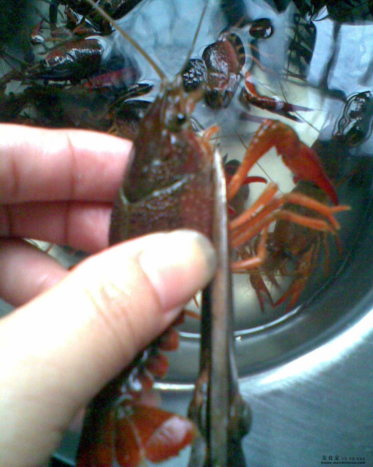 最干净的小龙虾清洗方法的做法_菜谱_豆果美食