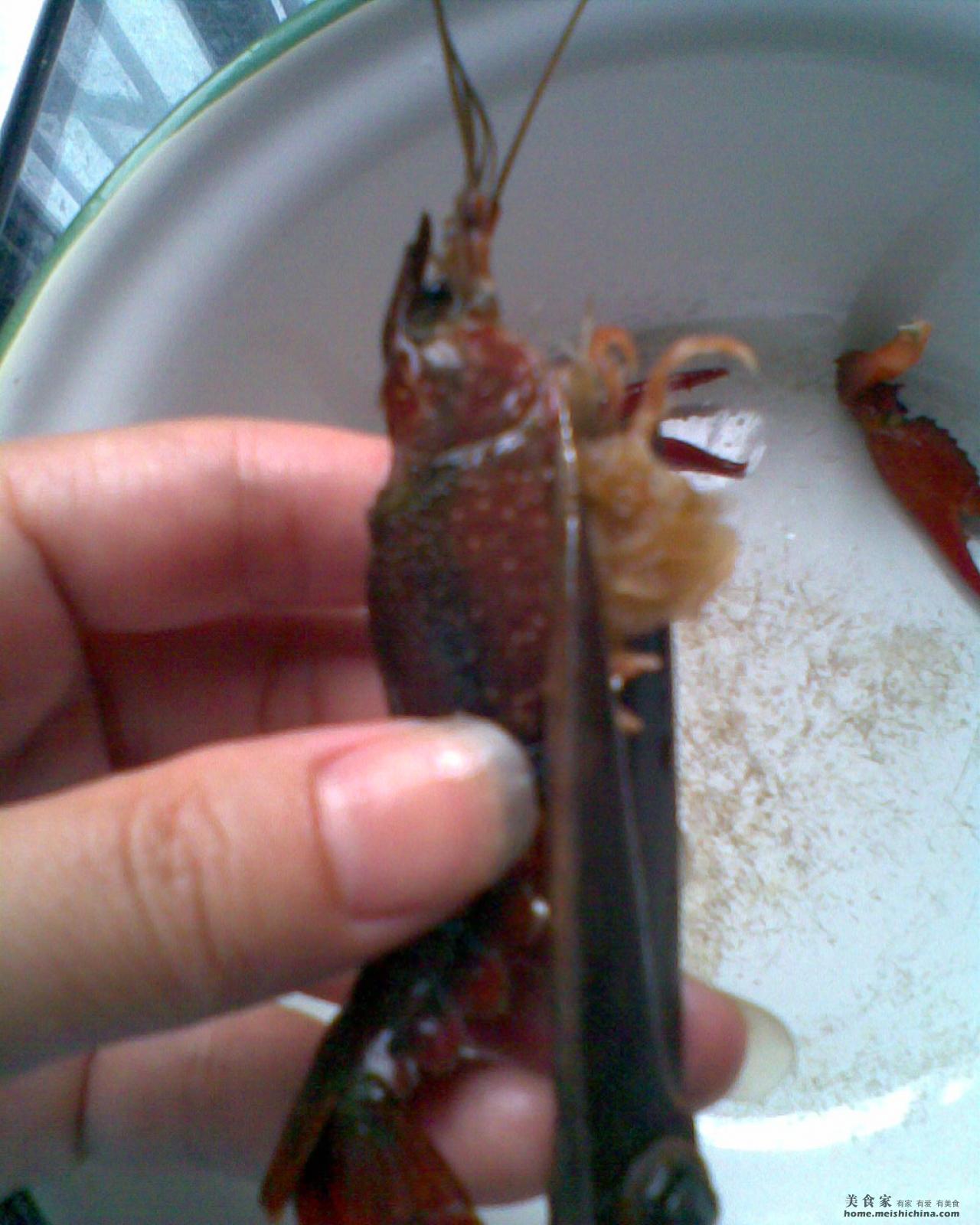 「蒜蓉小龙虾」的做法+配方，按照我说做的小龙虾绝对不会差|小龙虾|蒜蓉|步骤_新浪新闻