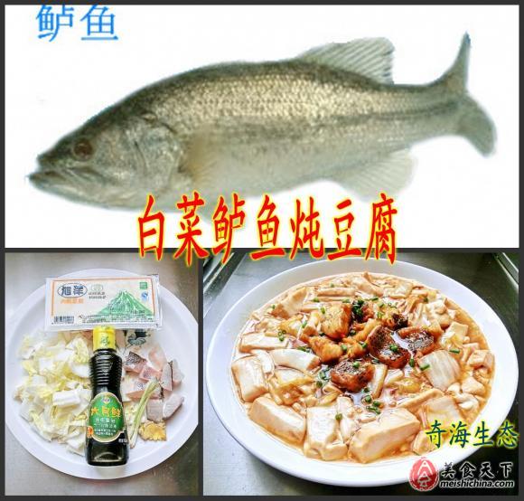 天添美食淡水鲈 66 白菜鲈鱼炖豆腐 白菜鲈鱼炖豆腐 奇海生态的日志 美食天下