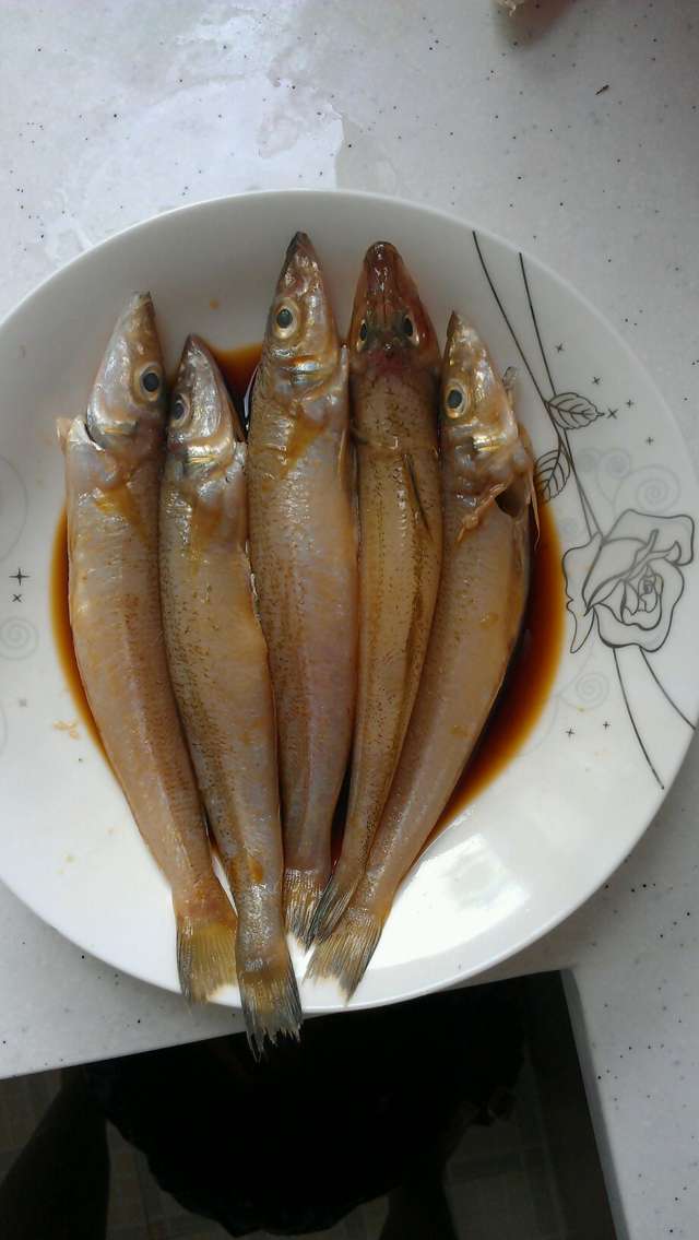 长江龙丁鱼图片图片