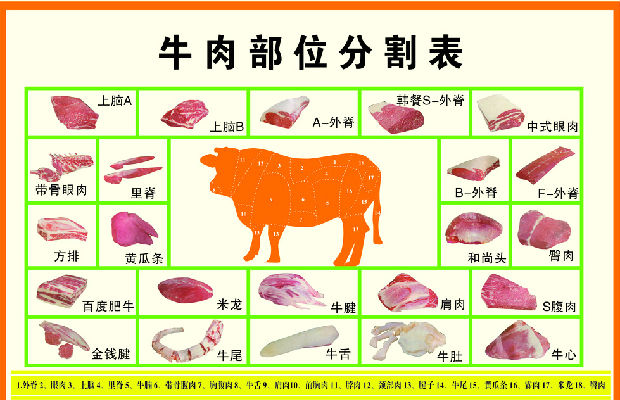 牛肉的认识与选购技巧 怎么挑选 美食天下