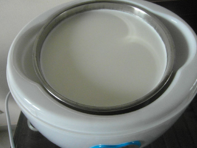 自制酸奶--佰生优酸奶机使用体验