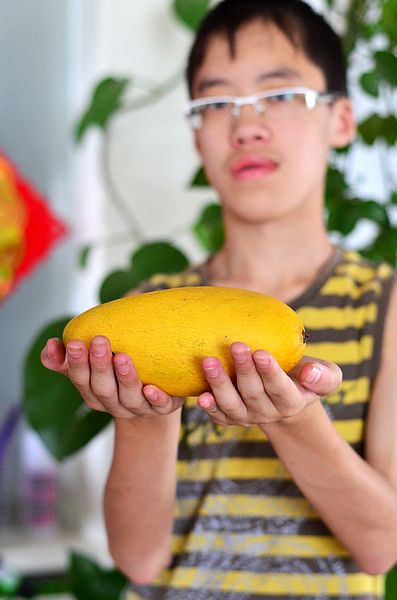 芒果酸奶布丁——来自乐活寿乡的甜美滋味