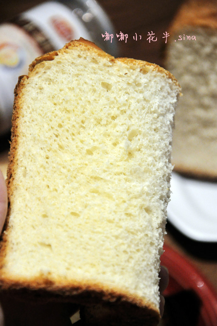 高蛋白、高膳食纤维面包；一键式小麦胚芽吐司