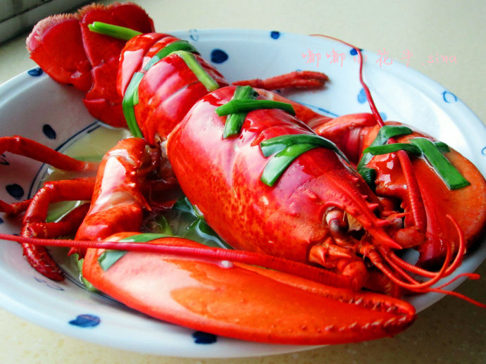 #百家千宴#来自海洋的新春问候；极鲜美的清蒸波士顿大龙虾