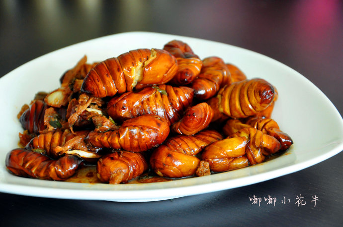 一道富含丰富的蛋白质多肽，美味营养的家常菜——五香蚕蛹