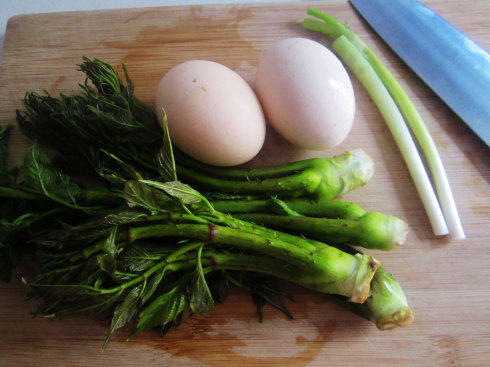 您不得不学的一招，春季野菜保鲜法——刺老芽炒蛋