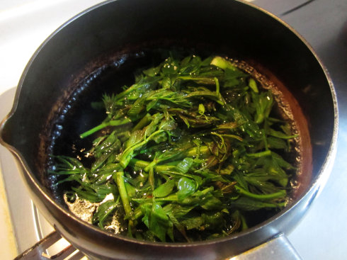 您不得不学的一招，春季野菜保鲜法——刺老芽炒蛋