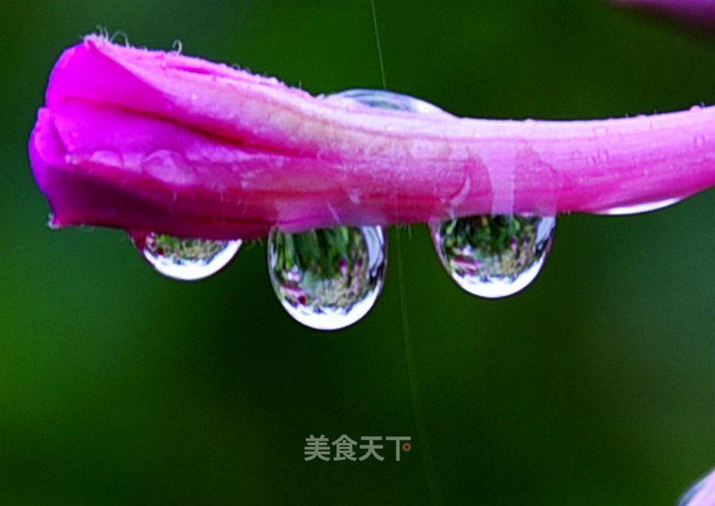 小雨滴