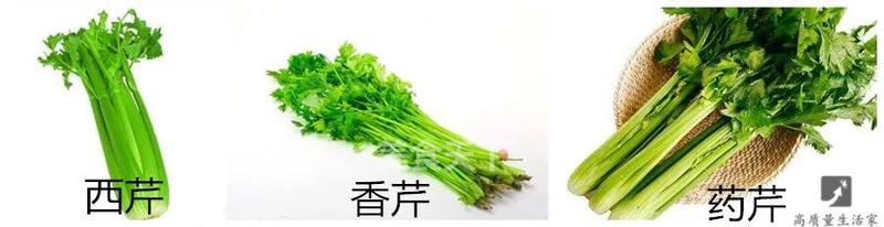 芹菜种类分三种 你吃对了吗 惠萍的笔记 美食天下