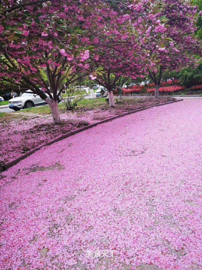 流水落花春去也 天上人间 夜来风雨声 花落知多少 Jzlwwwwww的笔记 美食天下