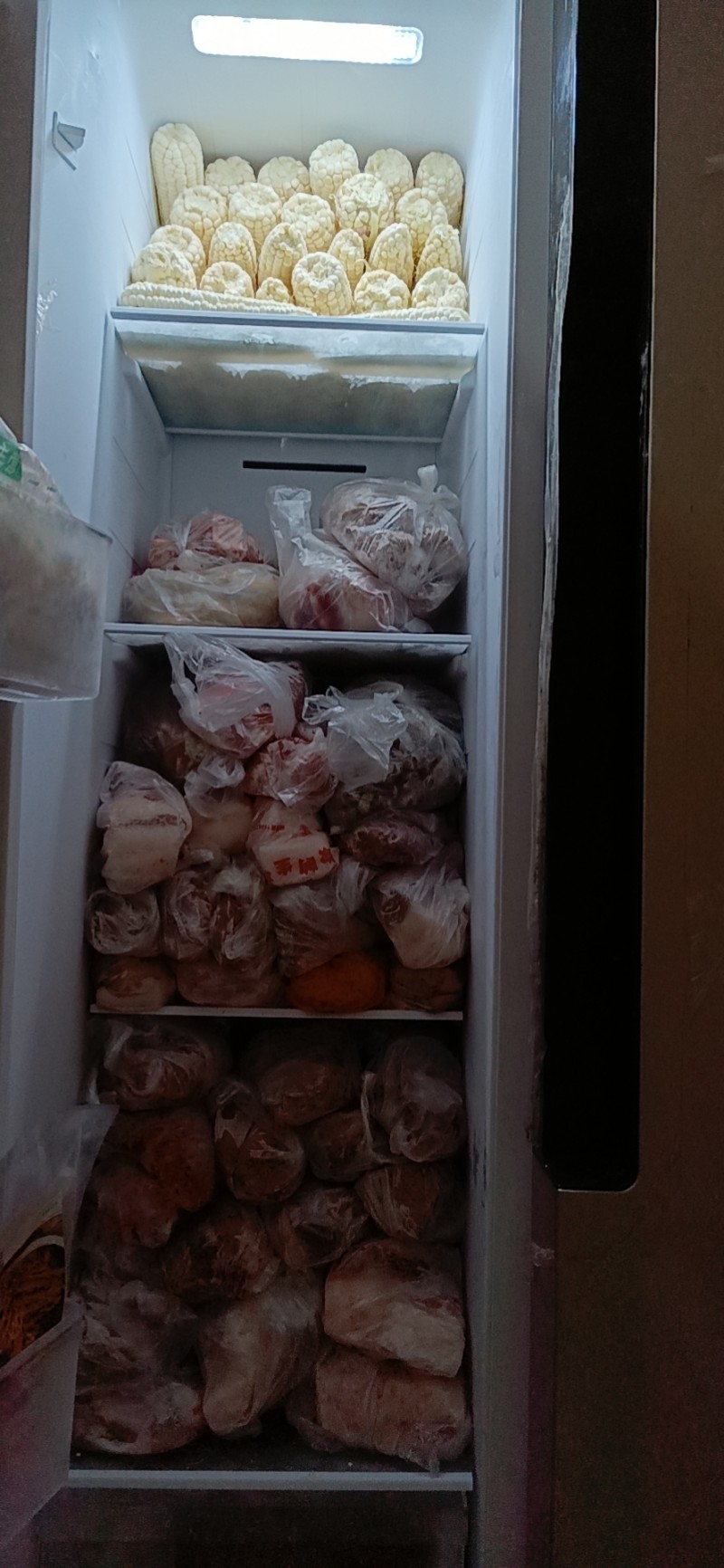 满满一冰箱肉