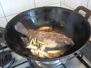 的做法_羅非魚燉豆腐的家常做法_羅非魚燉豆腐怎麼做好吃_做法步驟