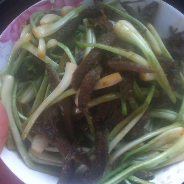 荞菜烧海狗