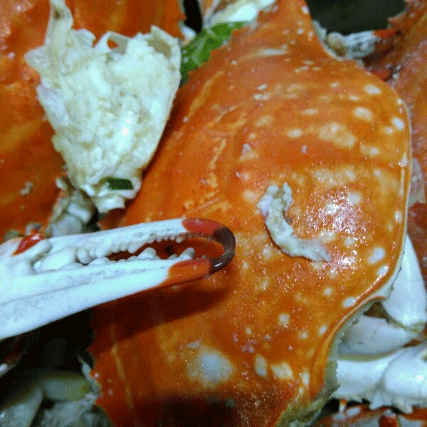 红烧梭子蟹