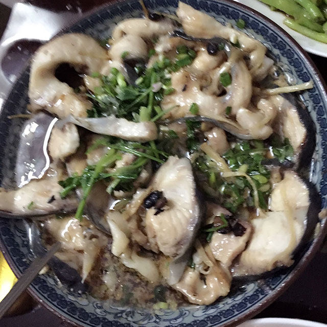 姜丝豆豉蒸鸭嘴鱼