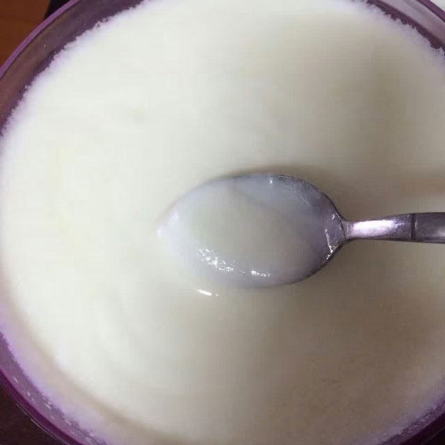 酸奶自制