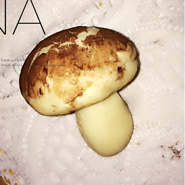#柏翠大赛#奶香蘑菇面包