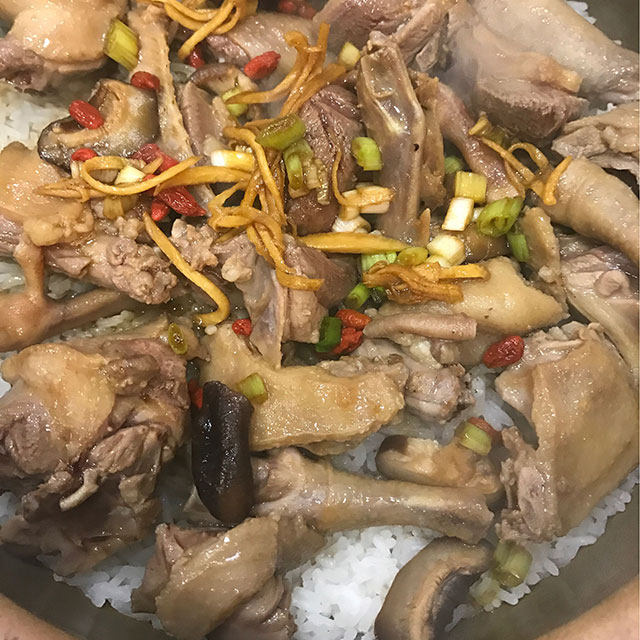 白鸽焗饭