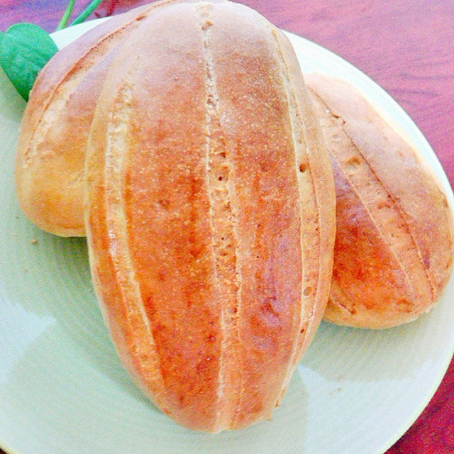 哈斯面包