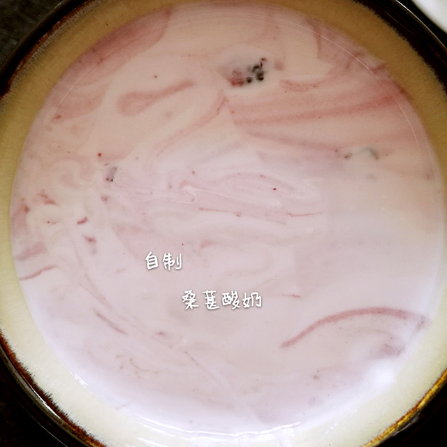 自制桑葚酸奶（烤箱版）