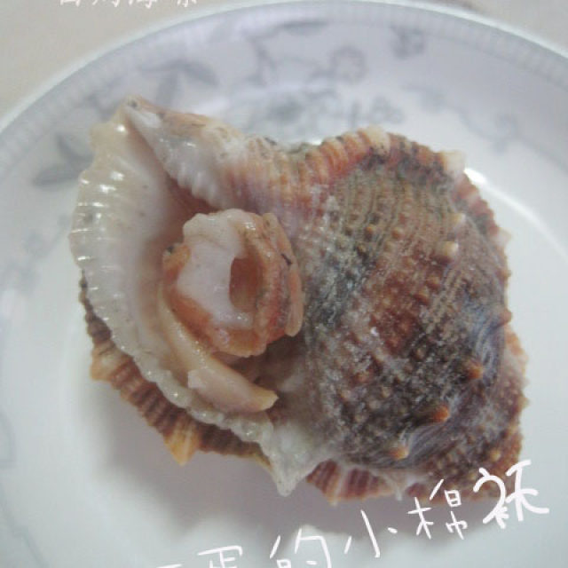 白灼海螺