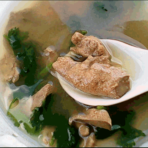 家常鲜汤——香菜猪肝汤