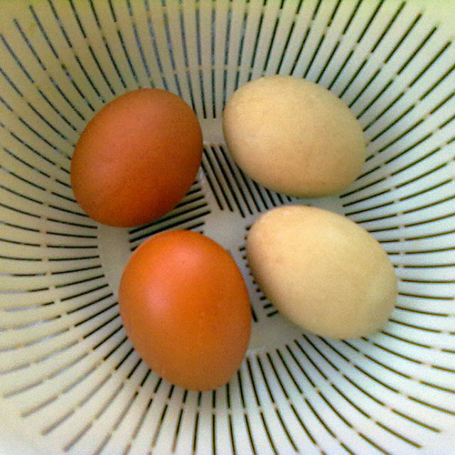 咸鸭蛋的腌制过程