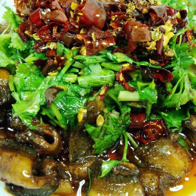麻辣香菜鳝鱼——麻、辣、鲜、香好味道