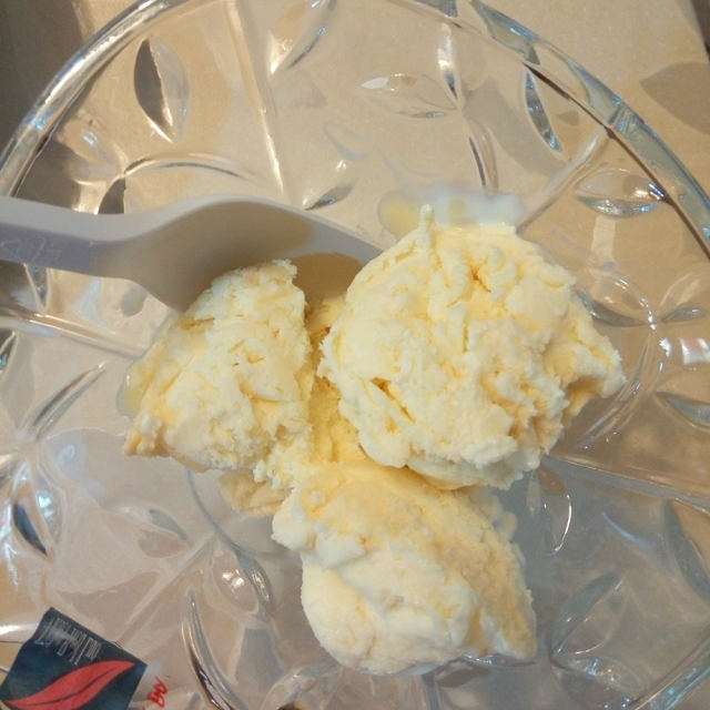 【吉林】自制酸奶冰淇淋