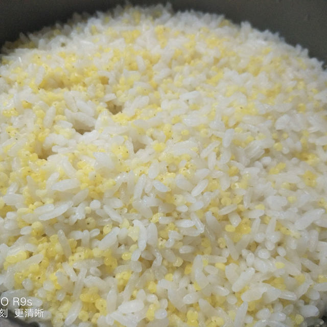 小米饭