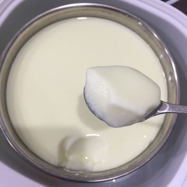 自制酸奶，奶粉版