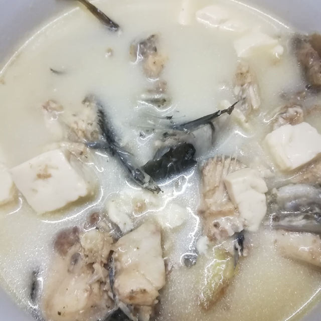 生鱼骨豆腐汤