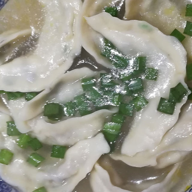 酸汤水饺