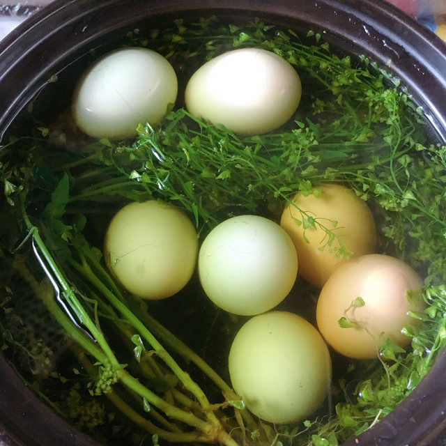 地菜煮鸡蛋