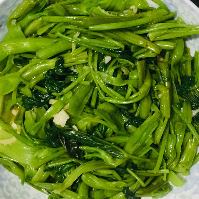 翠绿瓮菜