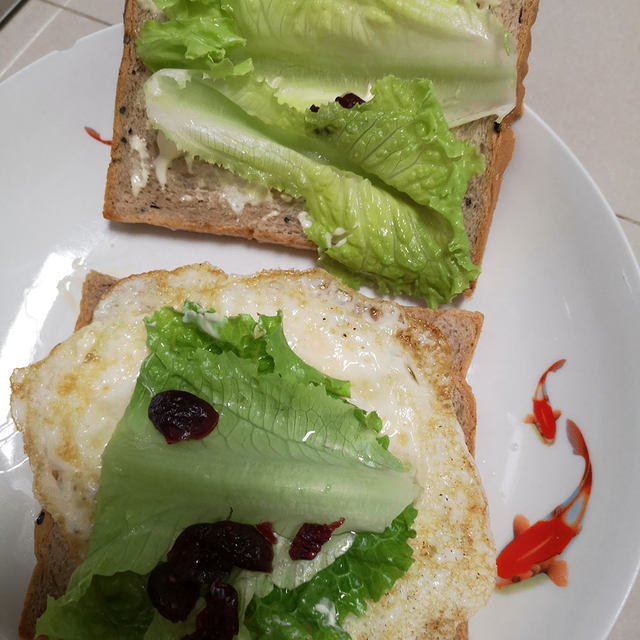 蔓越莓鸡蛋🥪