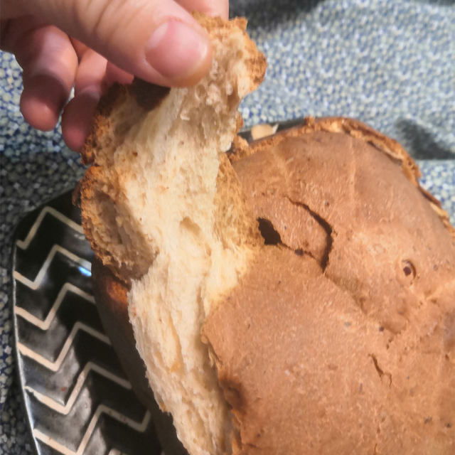减肥全麦面包