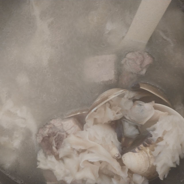 绣球菌排骨海蚌汤