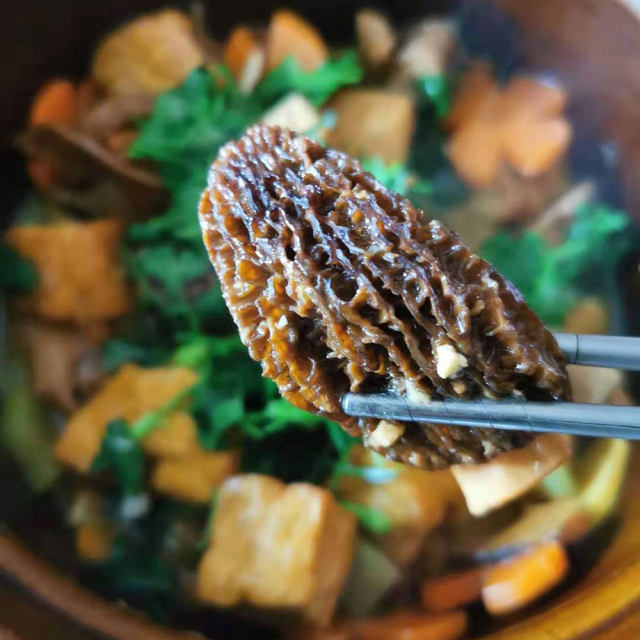 杂菌豆腐煲