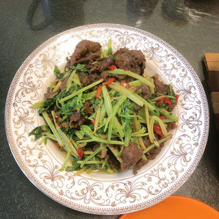 芹菜炒牛肉糖果96般的生活牛肉芹菜炒飯薄荷草1979芹菜炒牛肉夏天苦