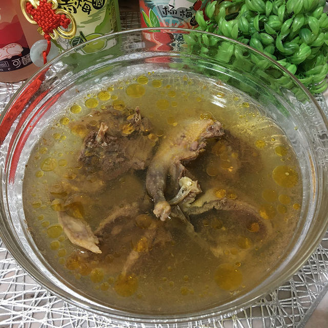 清炖鸽子