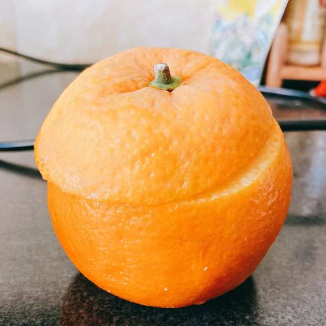 橙子蒸蛋