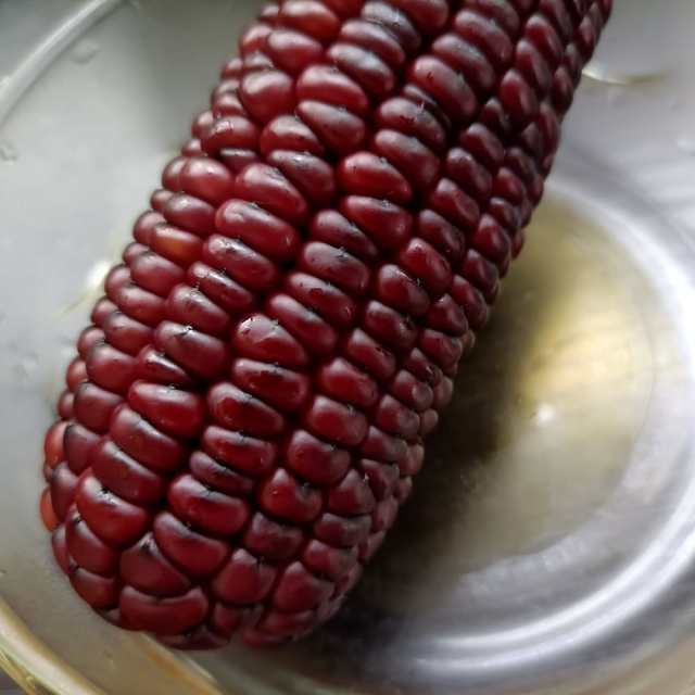 煮红玉米