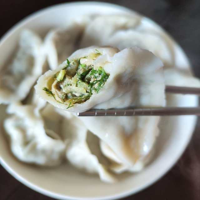 茴香菜青萝卜肉饺